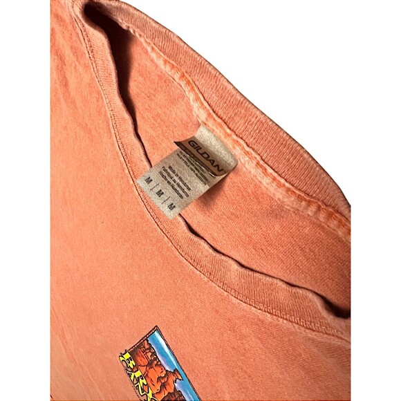 VINTAGE Bryce Canyon National Park Zion Utah Mens Size Med T-Shirt Orange Fade - Picture 5 of 7